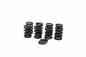 Preview: Valve Spring Set, Valve Springs with Retainer, Double Spring, dbilas G40 62.200.002